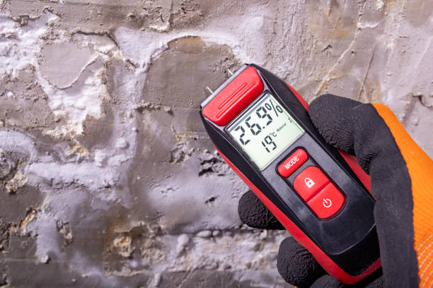 Best Post-Flood Mold Remediation in Houston, TX