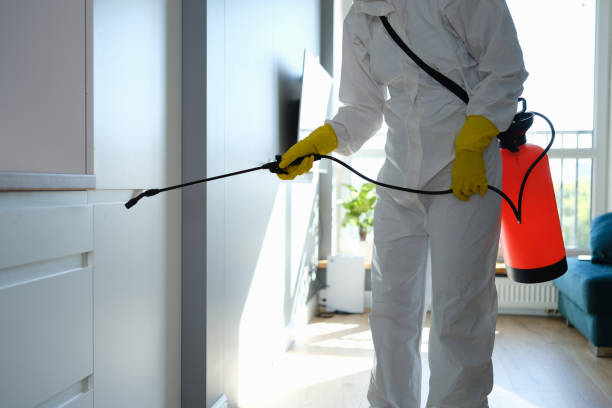 Best Mold Remediation for Schools in Houston, TX