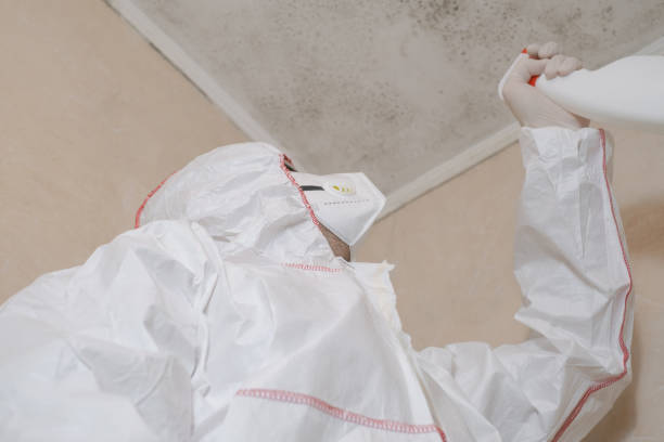 Trusted Houston, TX Mold Remediation Experts