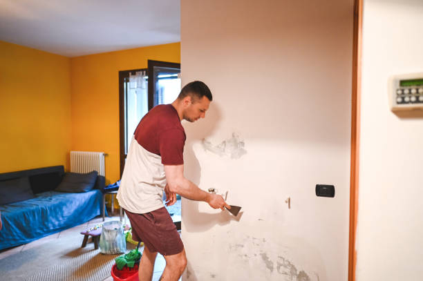 Best Attic Mold Remediation in Houston, TX